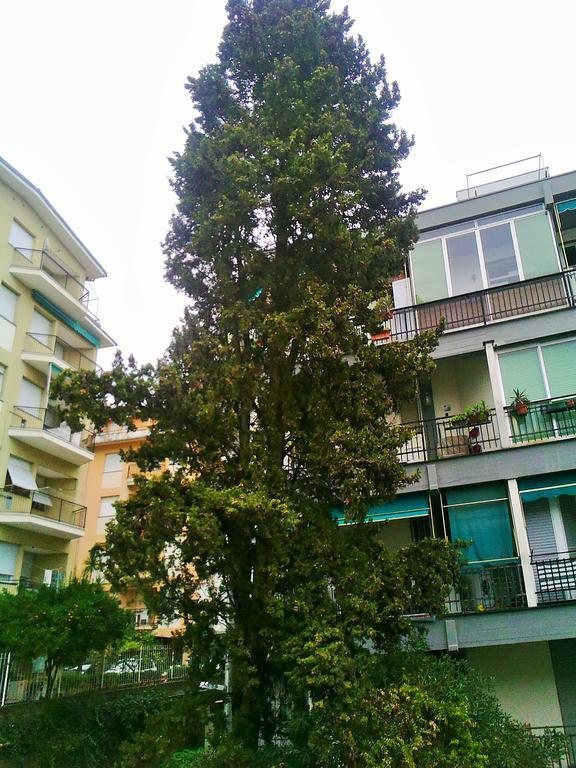 Il Centrale Rapallo Exteriér fotografie